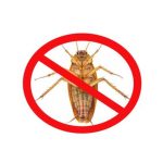 Pest Control Sydney: Protecting Your Commercial Property Investment
